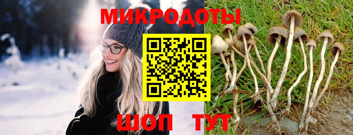 Галлюциногенные грибы MAGIC MUSHROOMS  Вход с VPN  Пыть-Ях 