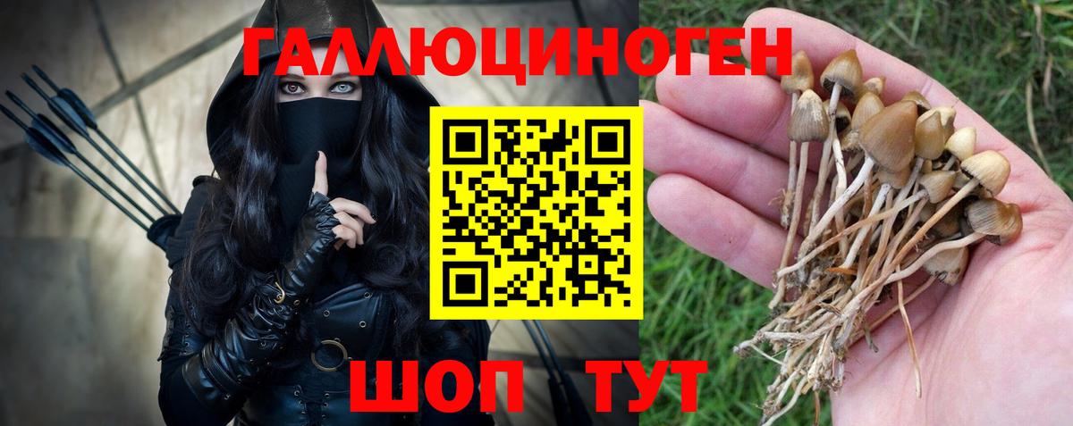Псилоцибиновые грибы Magic Shrooms Пыть-Ях